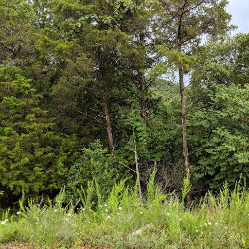 Lot 203 Silver Sunset Lane, Kimberling City, MO 65686 Overlook Lot 203