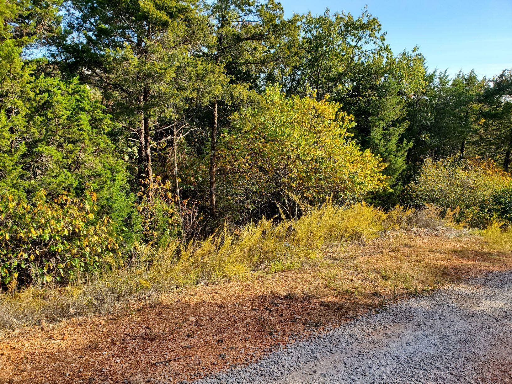 Lot 203 Silver Sunset Lane, Kimberling City, MO 65686 Lot 203