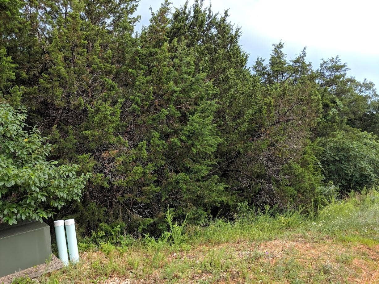 Lot 203 Silver Sunset Lane, Kimberling City, MO 65686 Overlook Lot 203 Right of Utilities