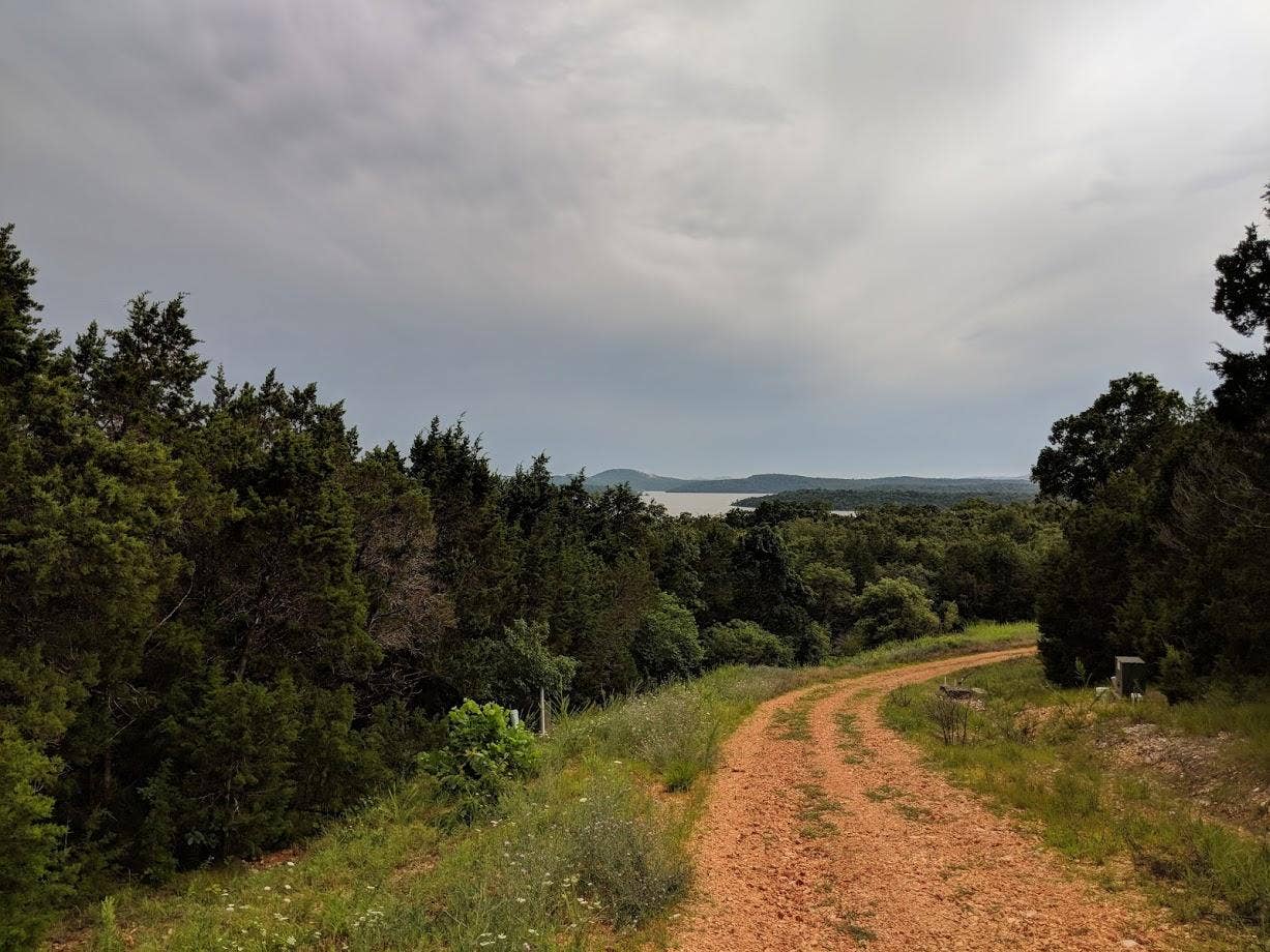 Lot 203 Silver Sunset Lane, Kimberling City, MO 65686 Overlook Lot 203 From Road Toward Lake
