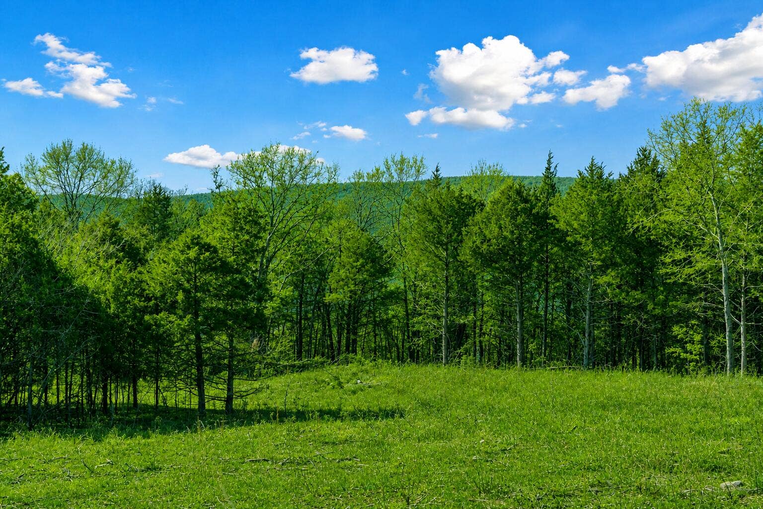 Lot 187 Silver Sunset Lane, Kimberling City, MO 65686 ChatGPT Image May 1, 2026, 12_54_35 PM
