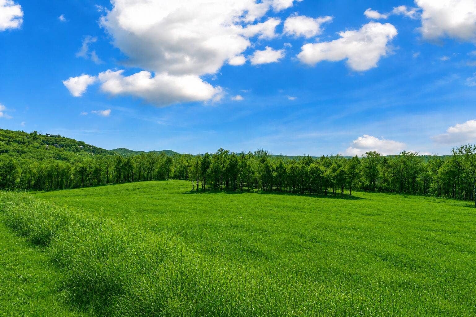 Lot 187 Silver Sunset Lane, Kimberling City, MO 65686 187-Silver-Sunset-Ln-Sunlit-Meadow