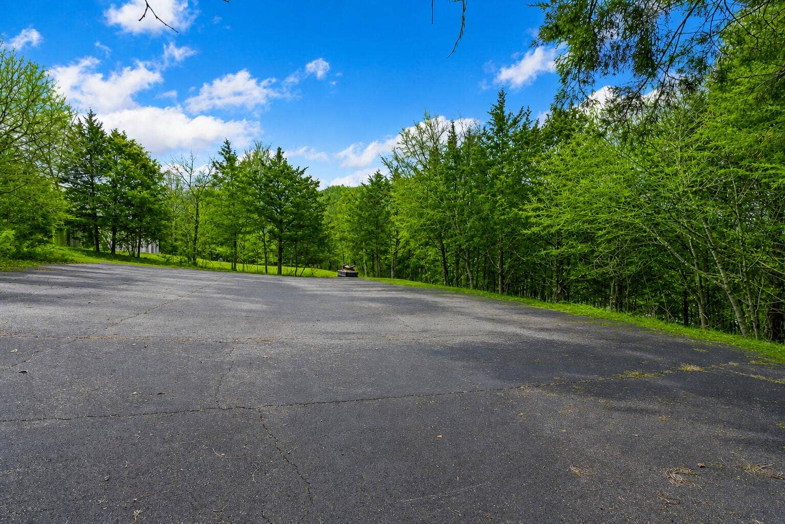 Lot 187 Silver Sunset Lane, Kimberling City, MO 65686 187-Silver-Sunset-Ln-Fresh-Green-Forest