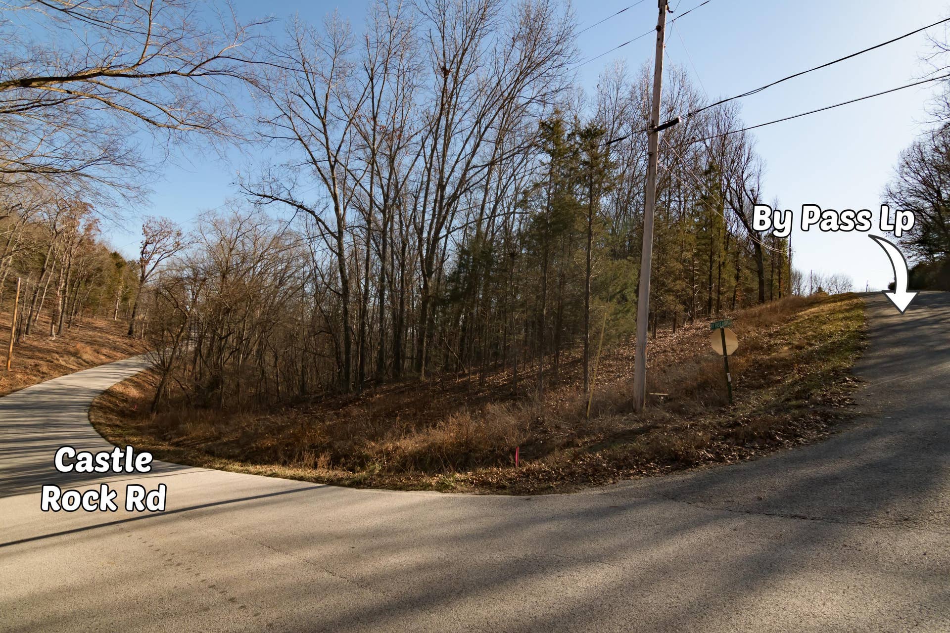 Lot 11 By Pass Loop, Branson West, MO 65737 5 ByPassLoopLotsBransonWestMO-7