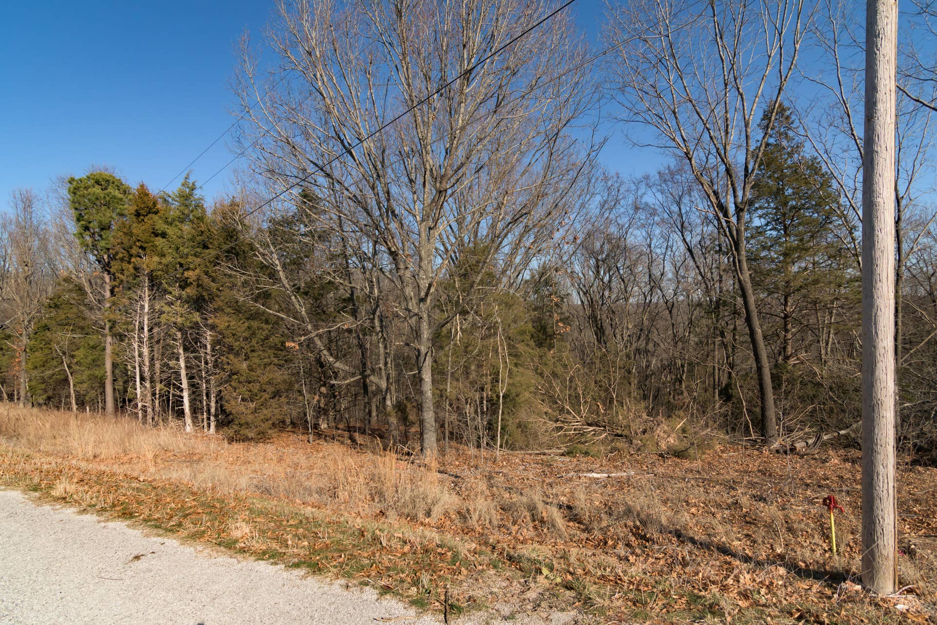 Lot 11 By Pass Loop, Branson West, MO 65737 4 ByPassLoopLots11BransonWestMO