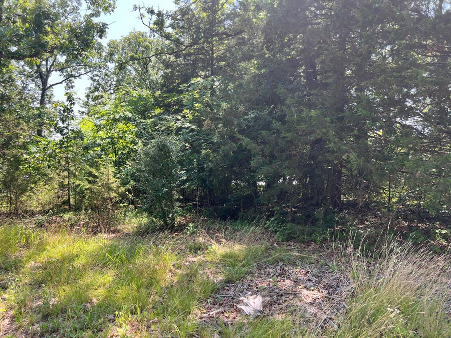Property photo for 000 Golden Drive, Kimberling City, MO
