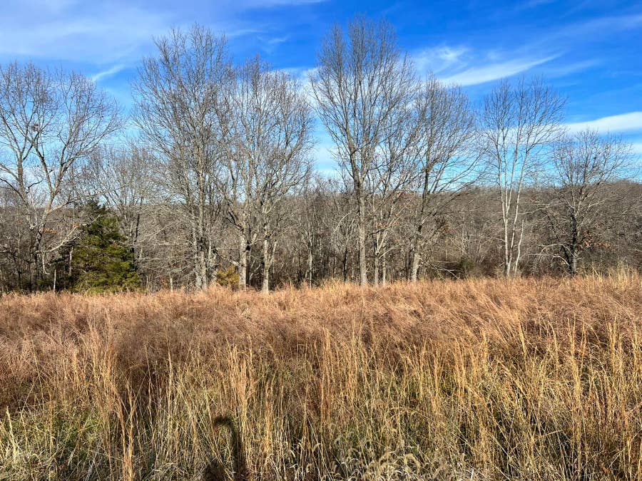Property photo for 000 Lot 10 Middlegate Place, Branson West, MO
