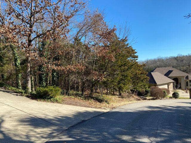 Lot 13 Stoneykirk, Branson West, MO 65737 Front view of lot.