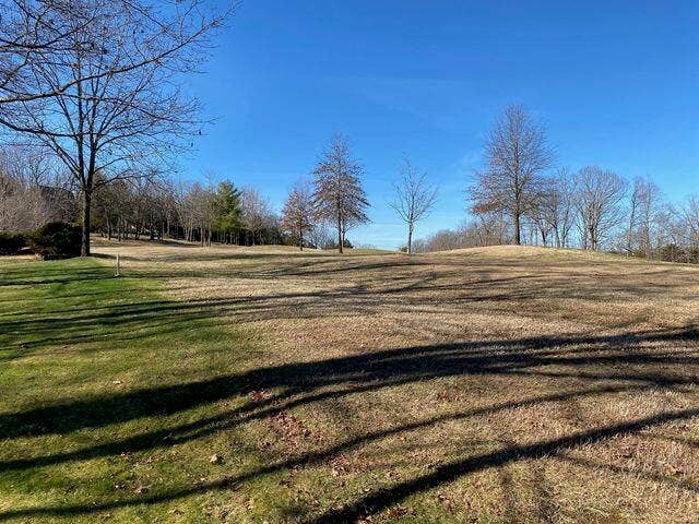 Lot 13 Stoneykirk, Branson West, MO 65737 Stonebridge golf course back of lot