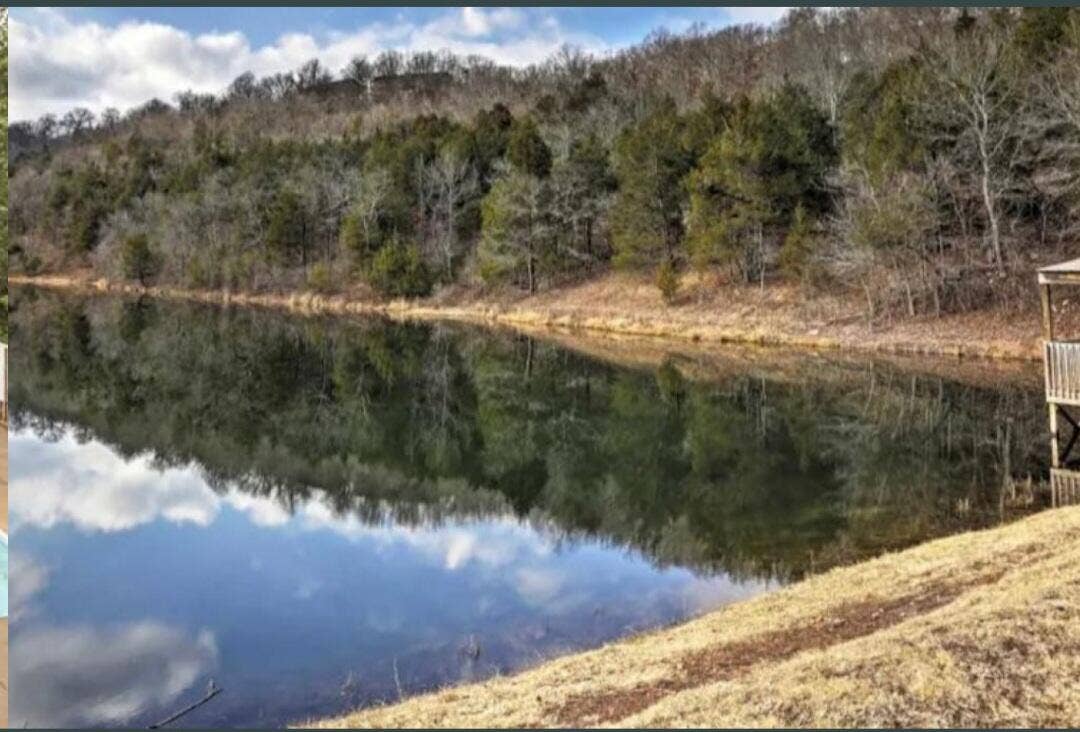 pond