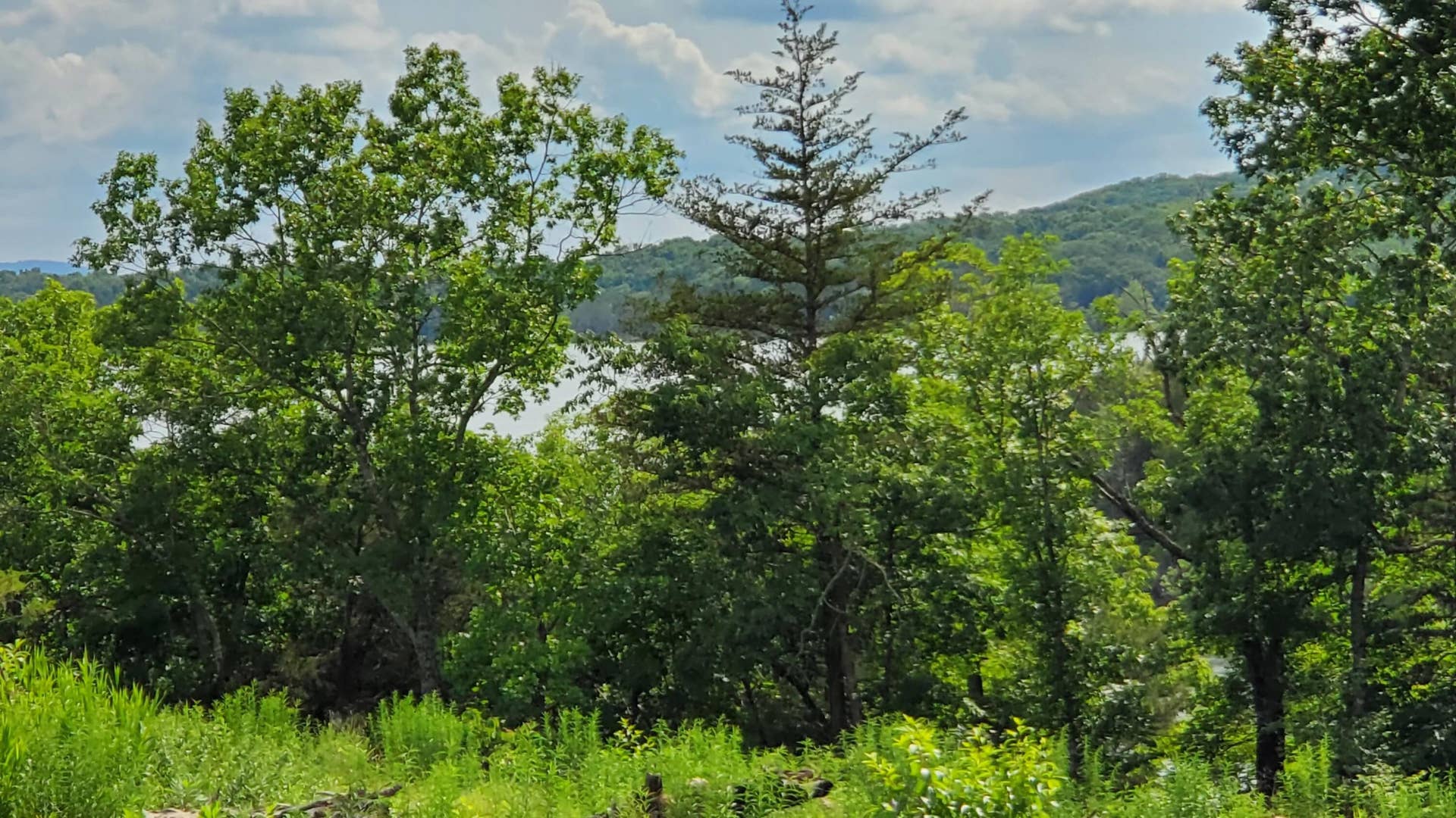 Overlook Lot 78