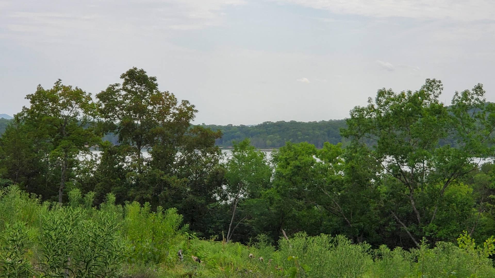 000 Lot 79 Summer Breeze, Kimberling City, MO 65686 Overlook Lot 79 (2)