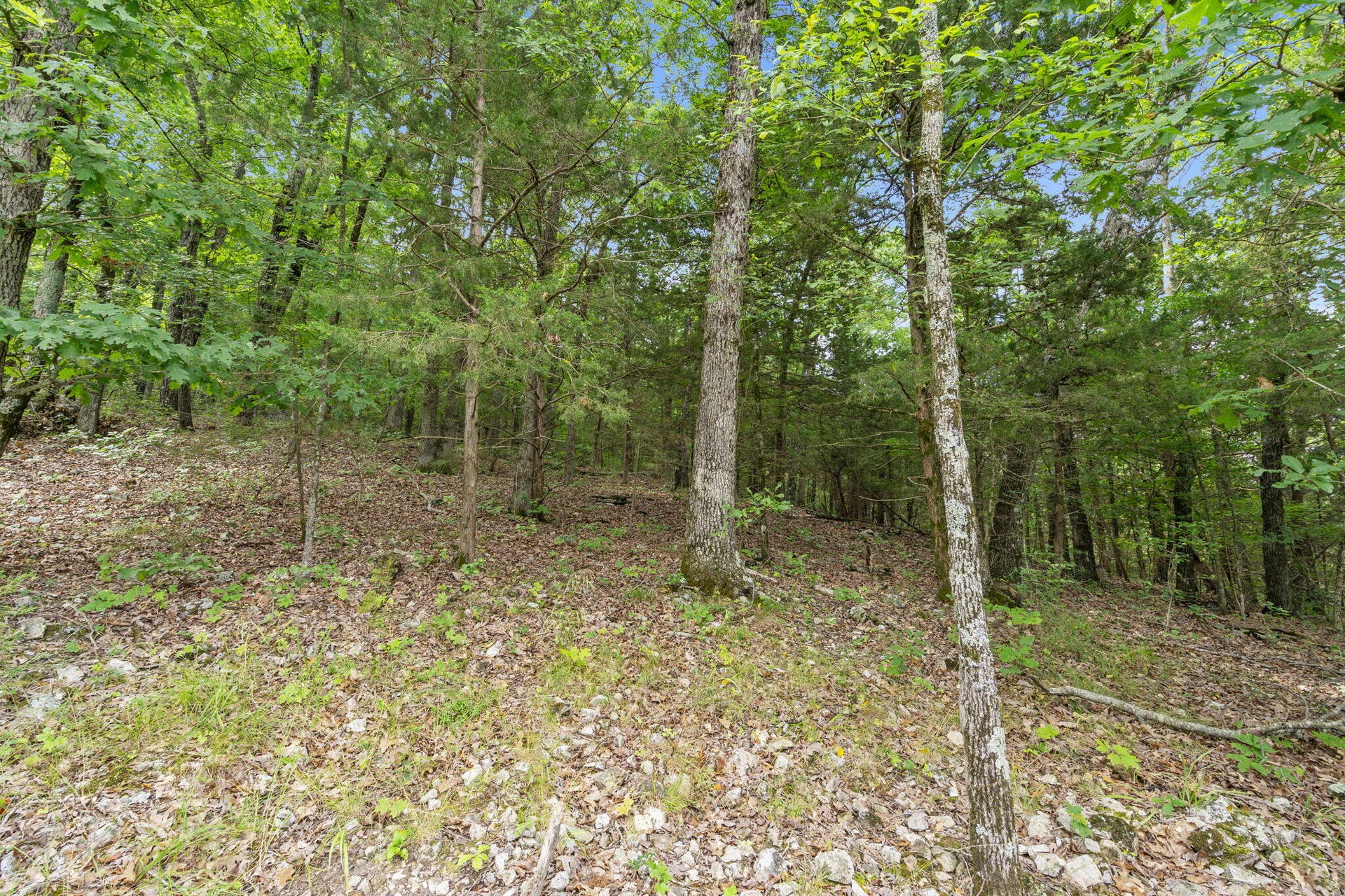 Tbd Luke Street, Branson West, MO 65737 Table Rock Lakefront Acreage Boat Slip