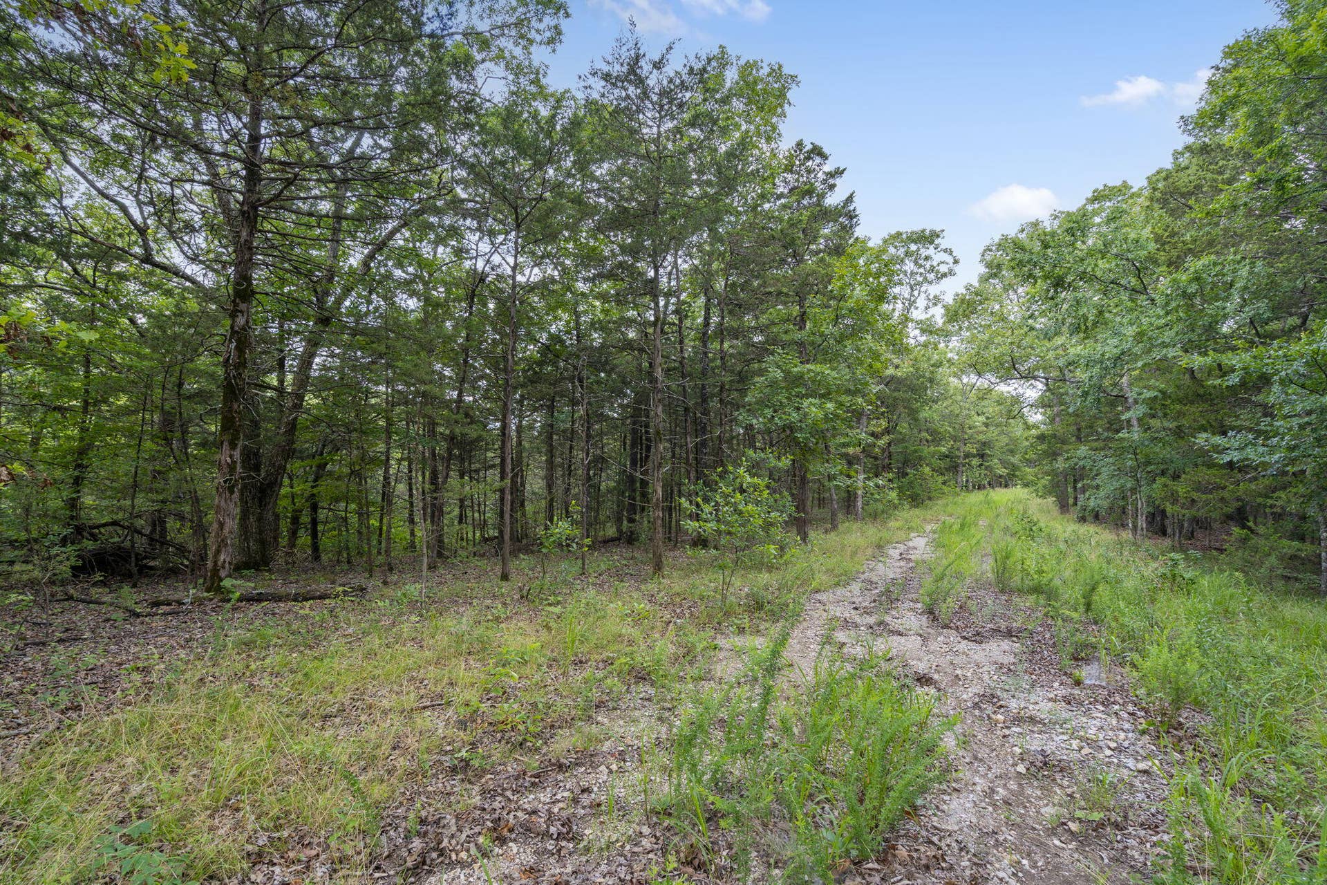 Tbd Luke Street, Branson West, MO 65737 Table Rock Lakefront Acreage Boat Slip