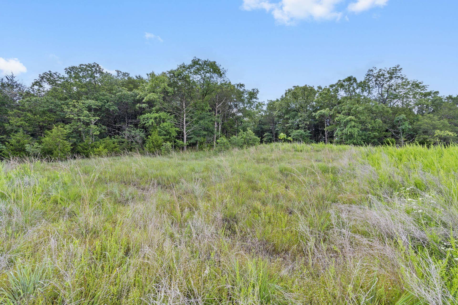 Tbd Luke Street, Branson West, MO 65737 Table Rock Lakefront Acreage Boat Slip