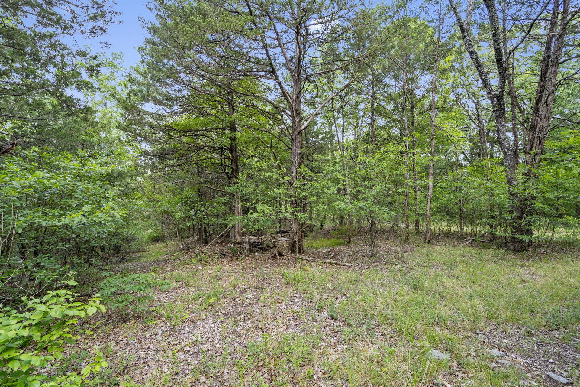 Tbd Luke Street, Branson West, MO 65737 Table Rock Lakefront Acreage Boat Slip