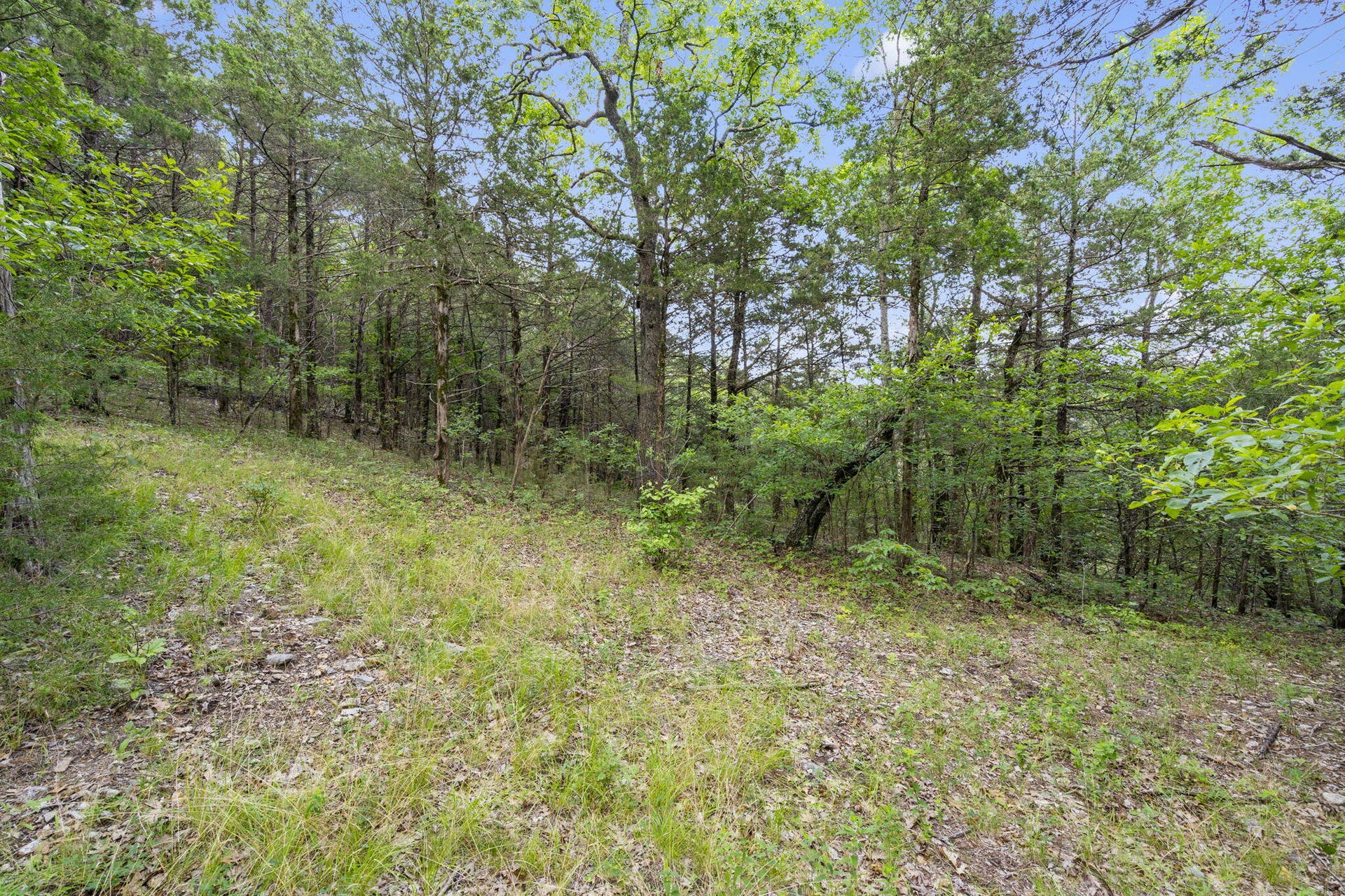 Tbd Luke Street, Branson West, MO 65737 Table Rock Lakefront Acreage Boat Slip