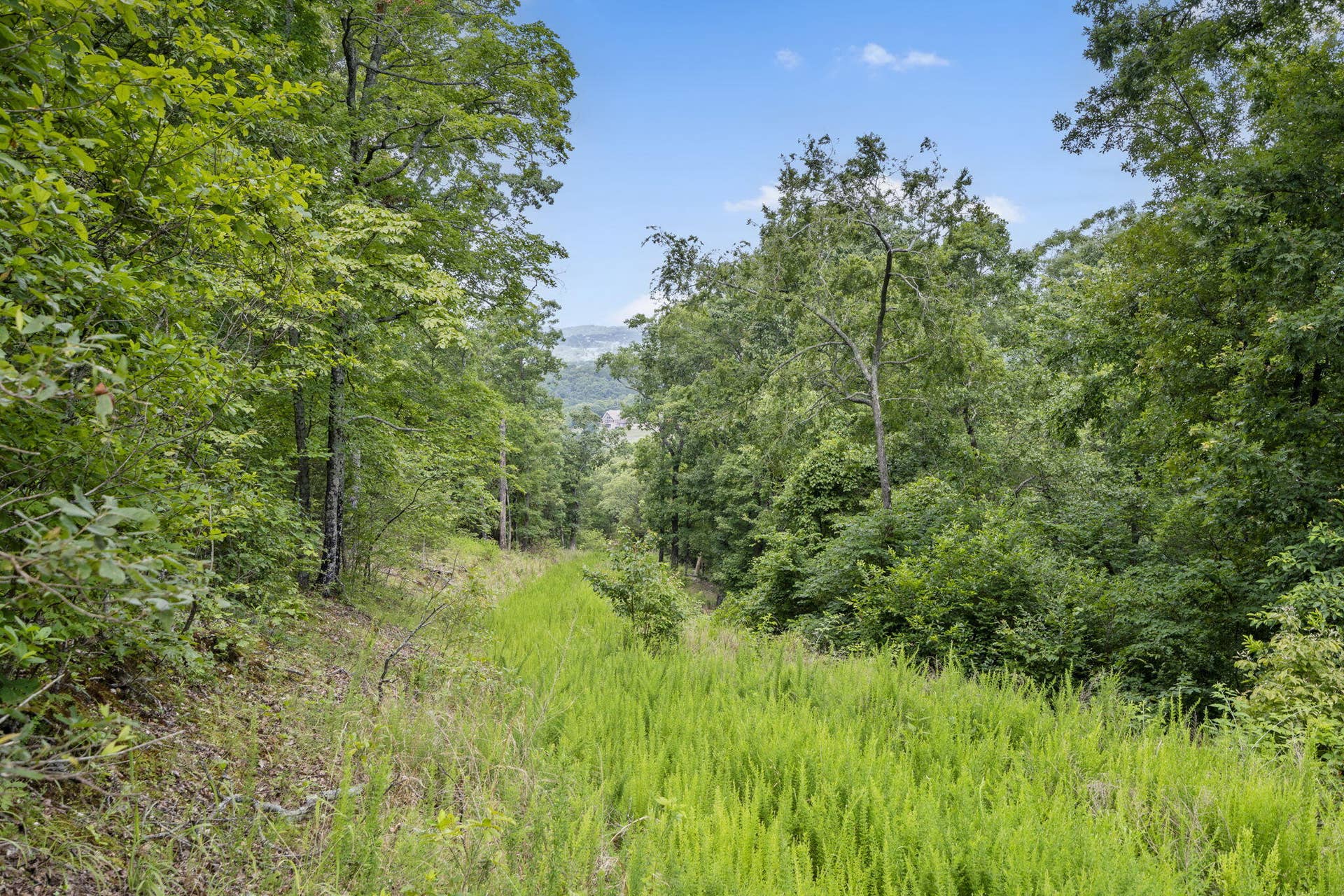 Tbd Luke Street, Branson West, MO 65737 Table Rock Lakefront Acreage Boat Slip
