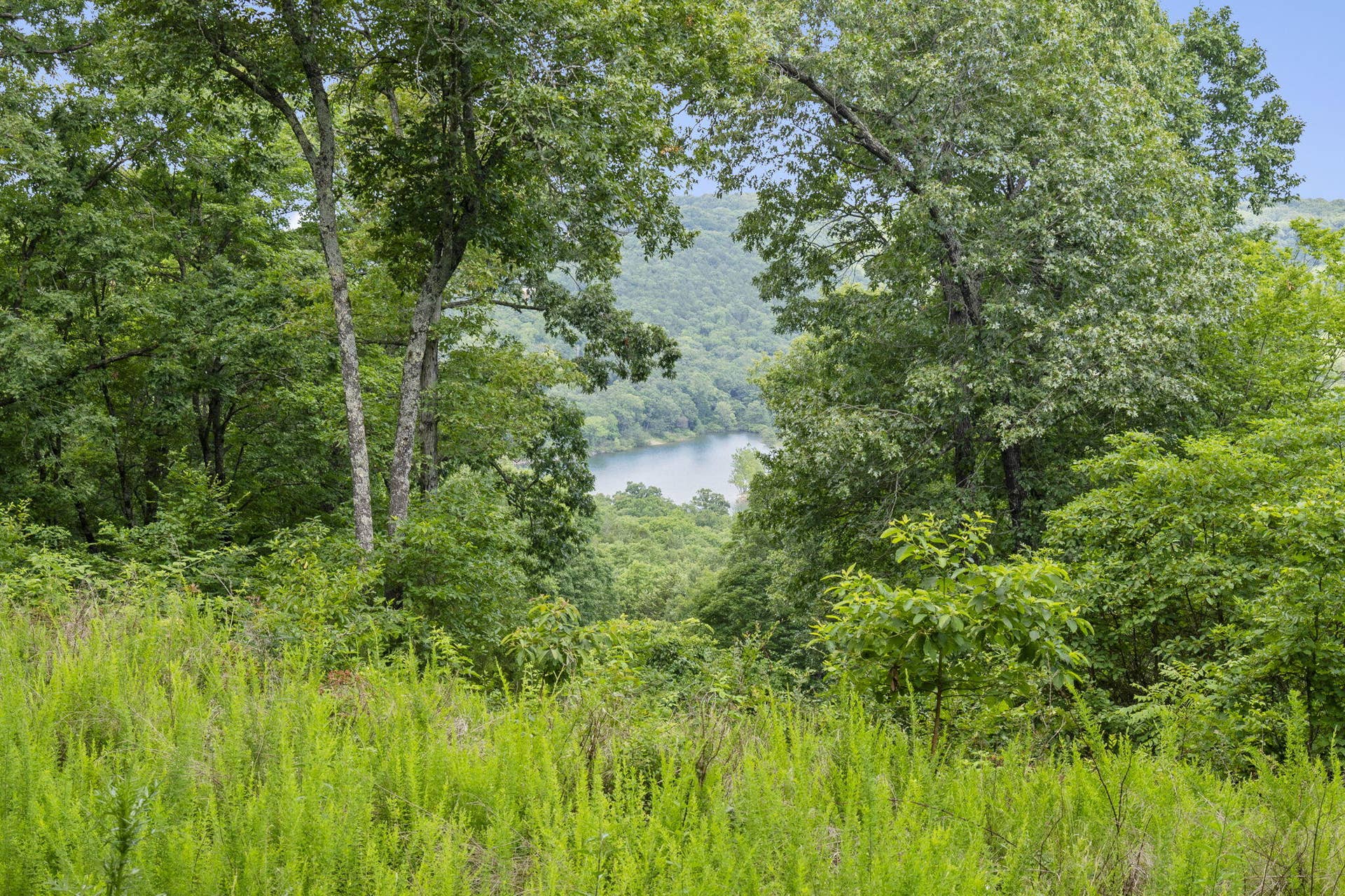 Tbd Luke Street, Branson West, MO 65737 Table Rock Lakefront Acreage Boat Slip