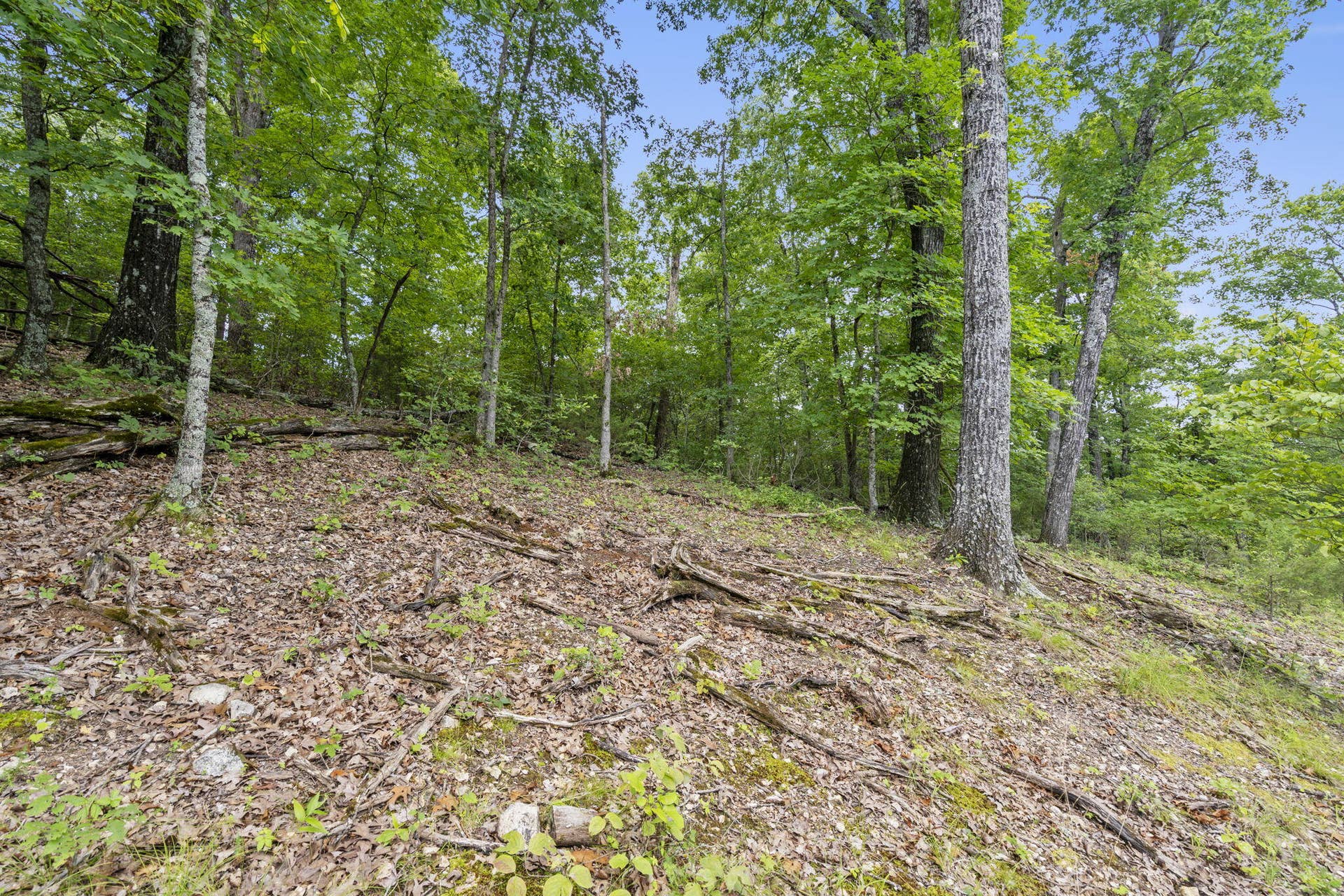 Tbd Luke Street, Branson West, MO 65737 Table Rock Lakefront Acreage Boat Slip