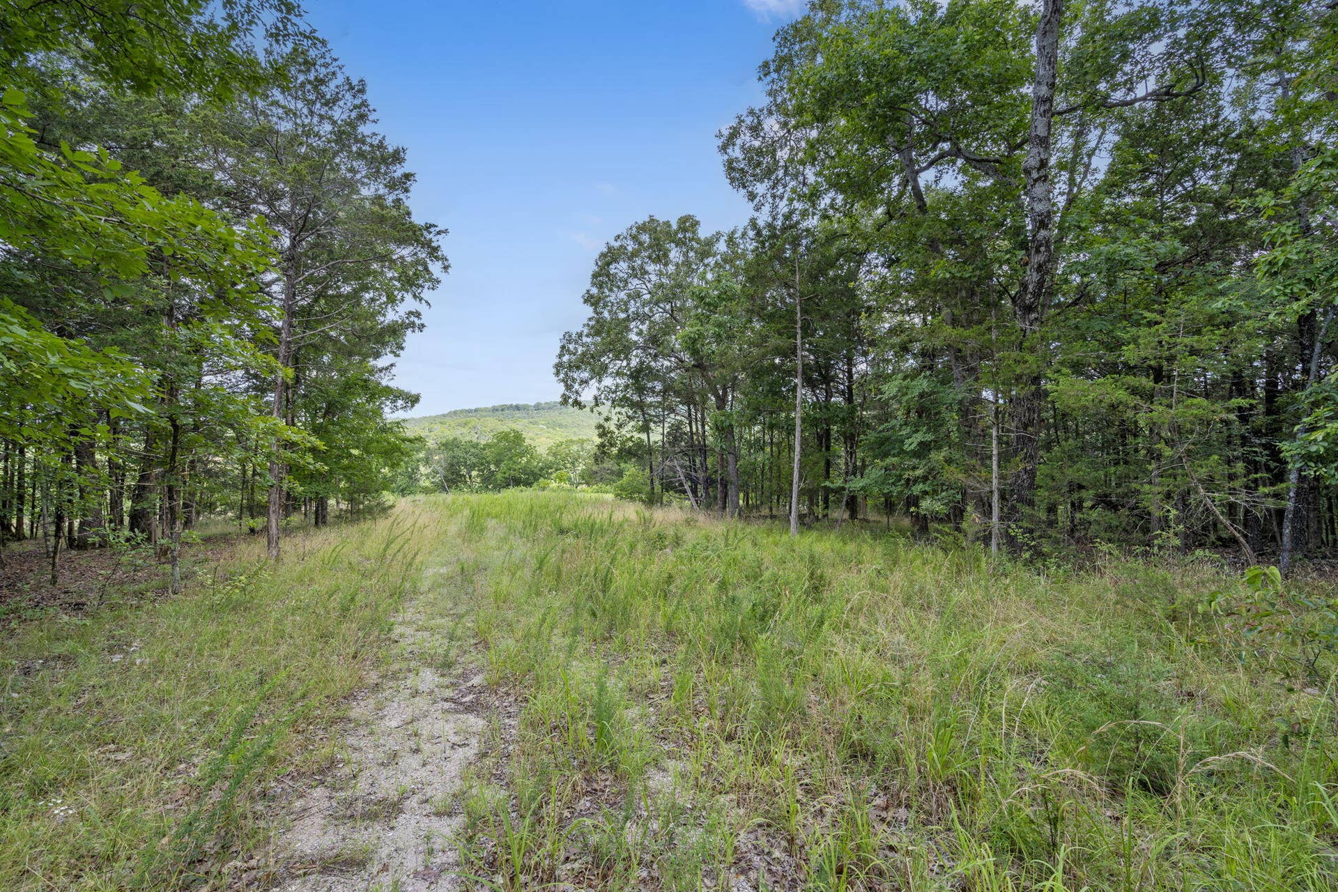 Tbd Luke Street, Branson West, MO 65737 Table Rock Lakefront Acreage Boat Slip