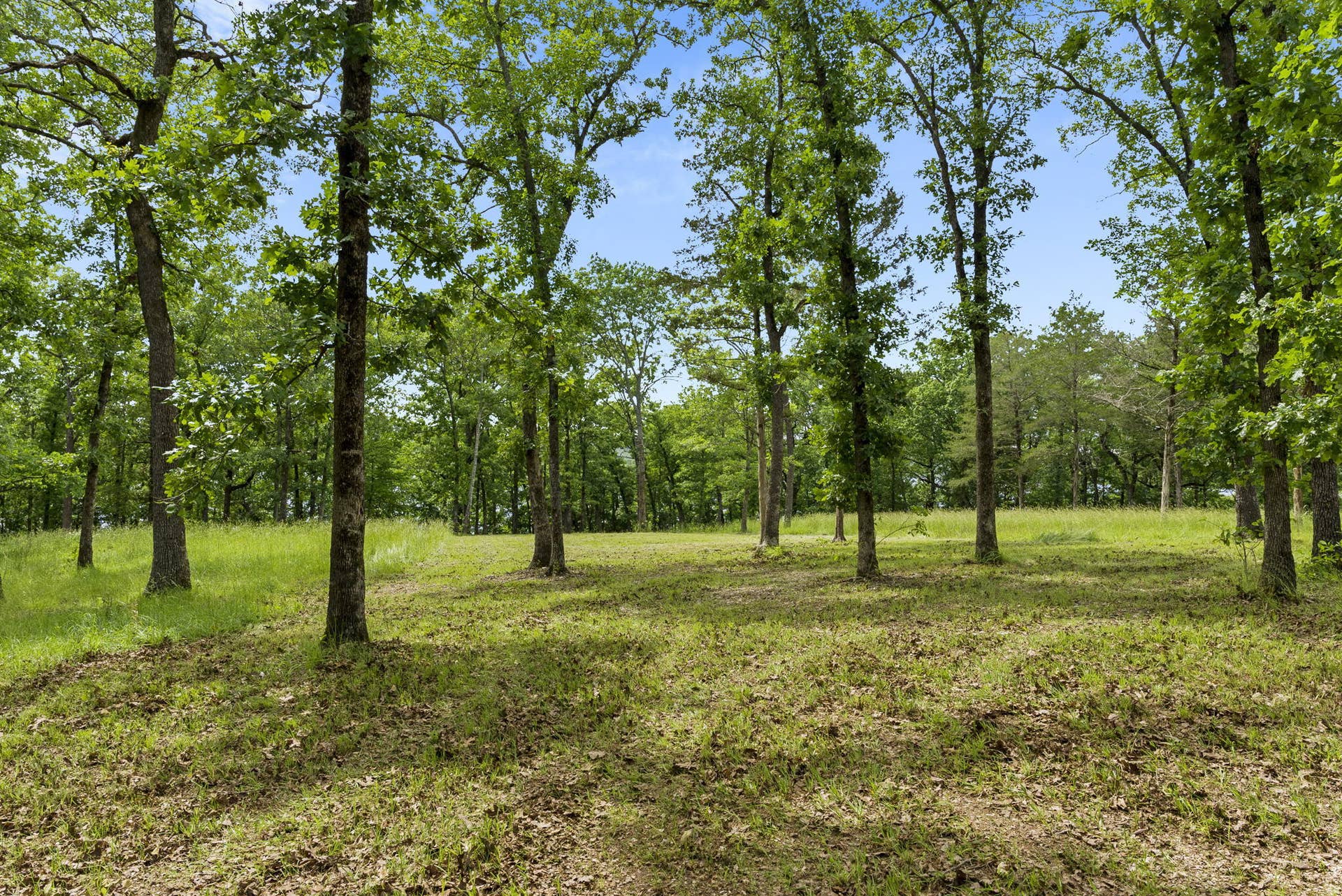 Tbd Terrace Park Road, Kimberling City, MO 65686 Table Rock Lakefront Acreage