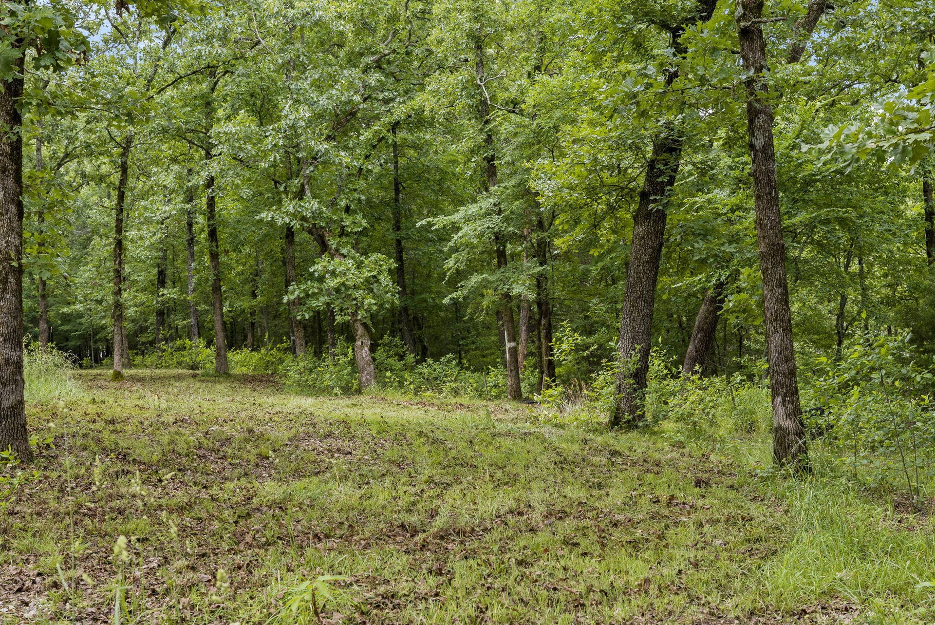 Tbd Terrace Park Road, Kimberling City, MO 65686 Table Rock Lakefront Acreage