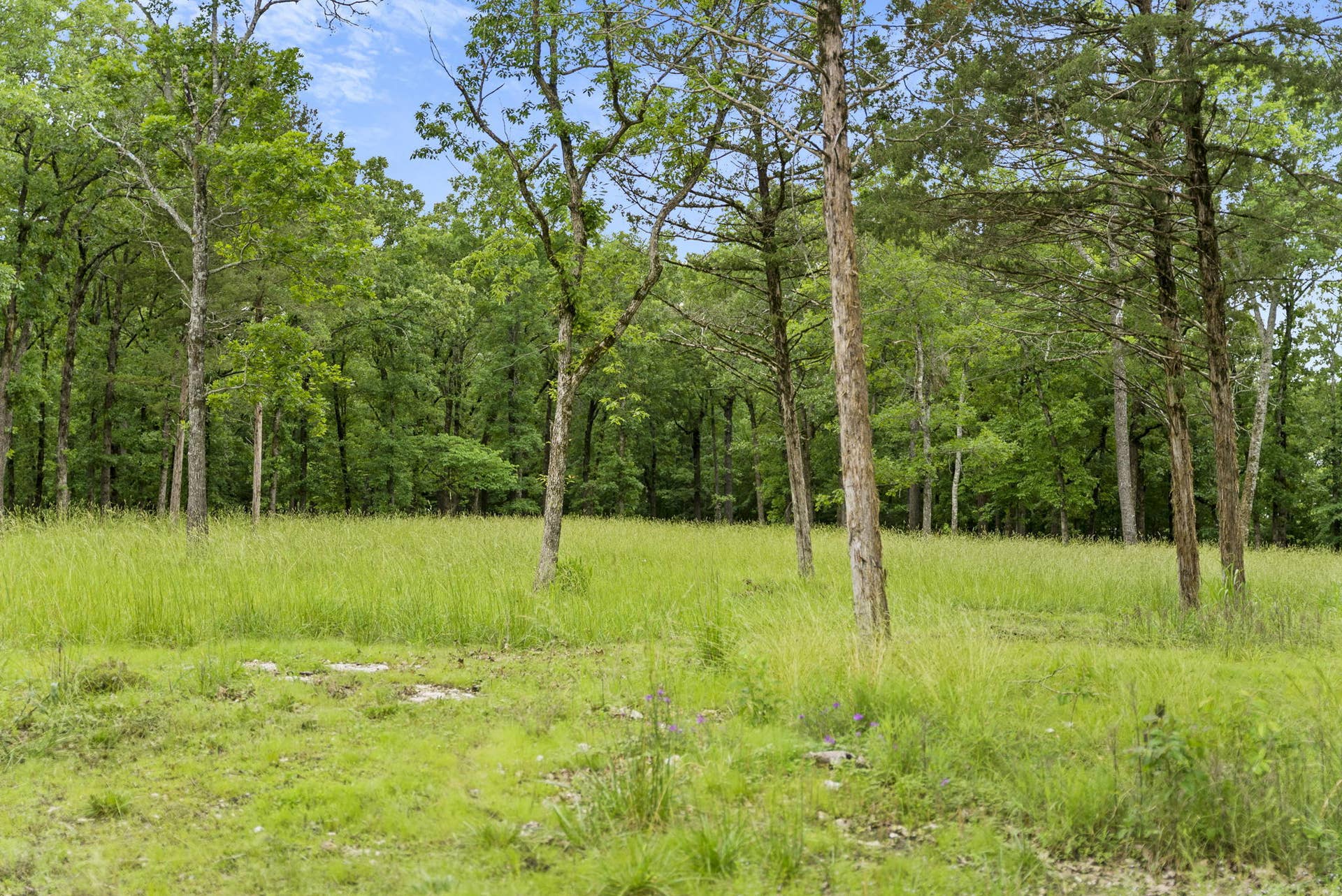 Tbd Terrace Park Road, Kimberling City, MO 65686 Table Rock Lakefront Acreage