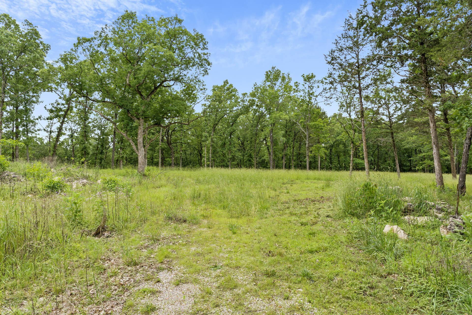 Tbd Terrace Park Road, Kimberling City, MO 65686 Table Rock Lakefront Acreage