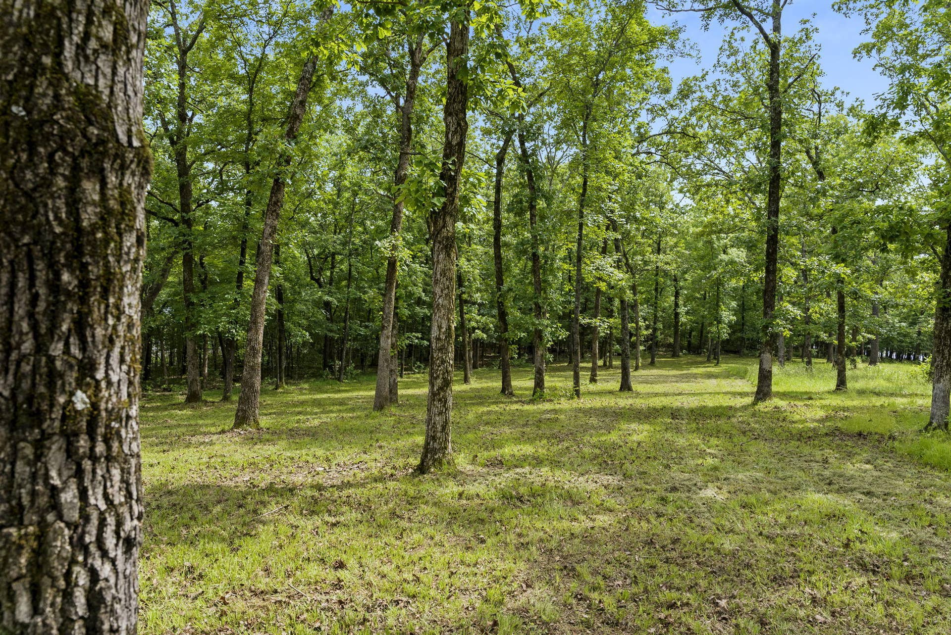Tbd Terrace Park Road, Kimberling City, MO 65686 Table Rock Lakefront Acreage