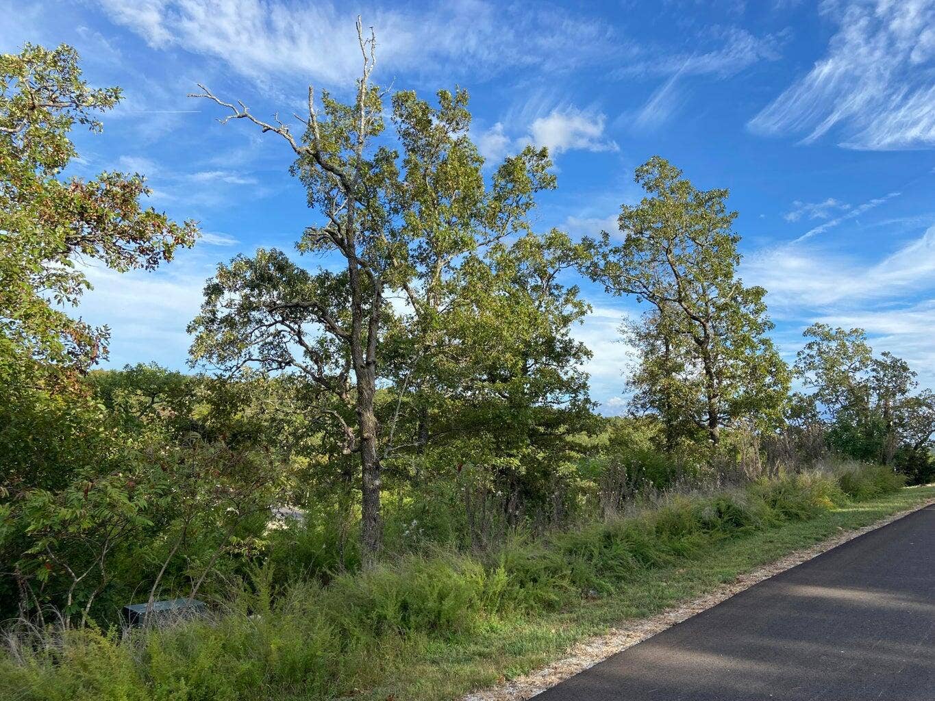 Lot 244 Blue Lake Trail, Branson West, MO 65737 Lot 244