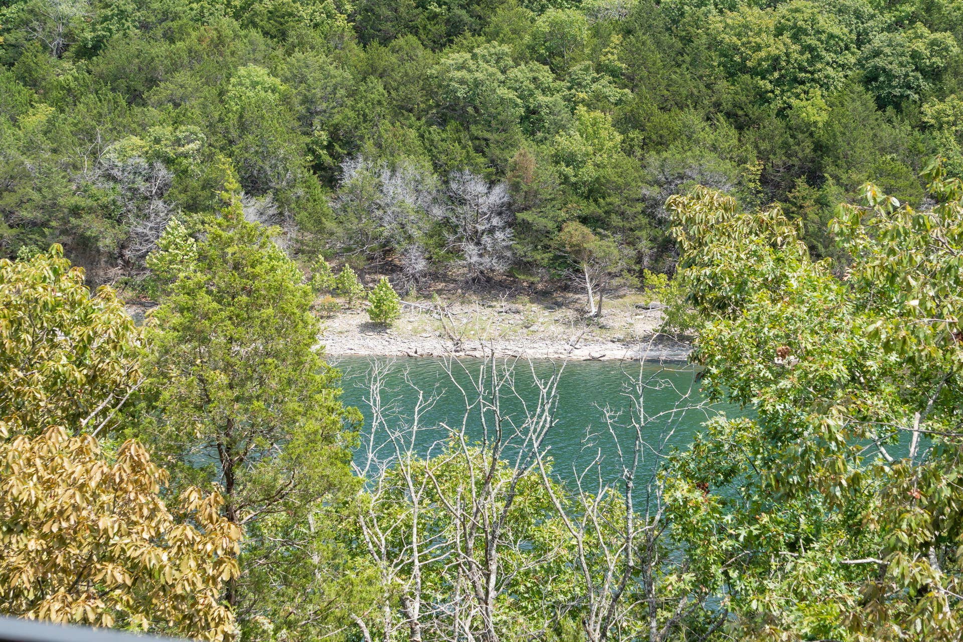 1303 Rocky Shore Terrace, #3, Kimberling City, MO 65686 .