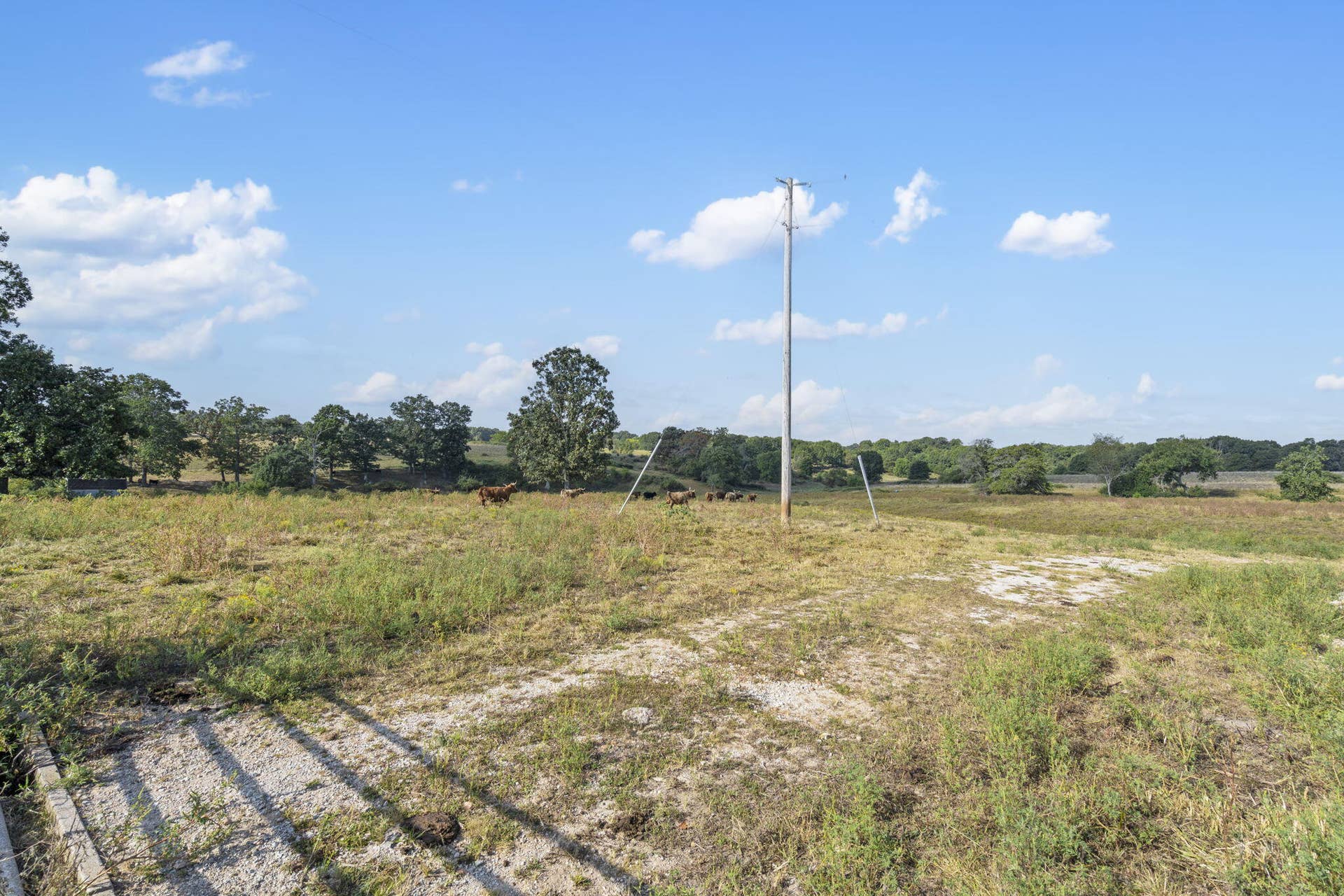 921 Us Hwy 160, Reeds Spring, MO 65737 921 US Hwy 160