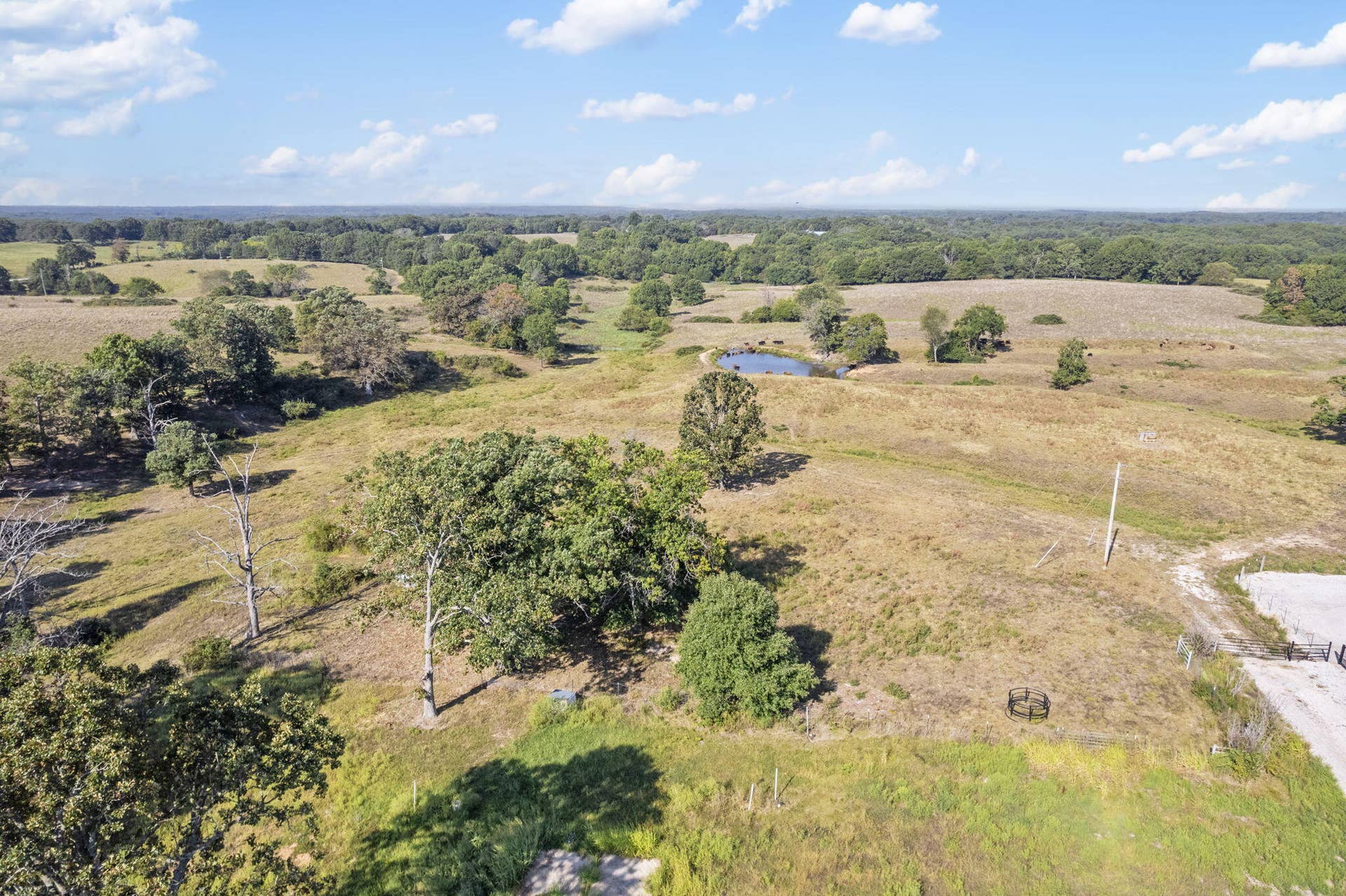 921 Us Hwy 160, Reeds Spring, MO 65737 921 US Hwy 160