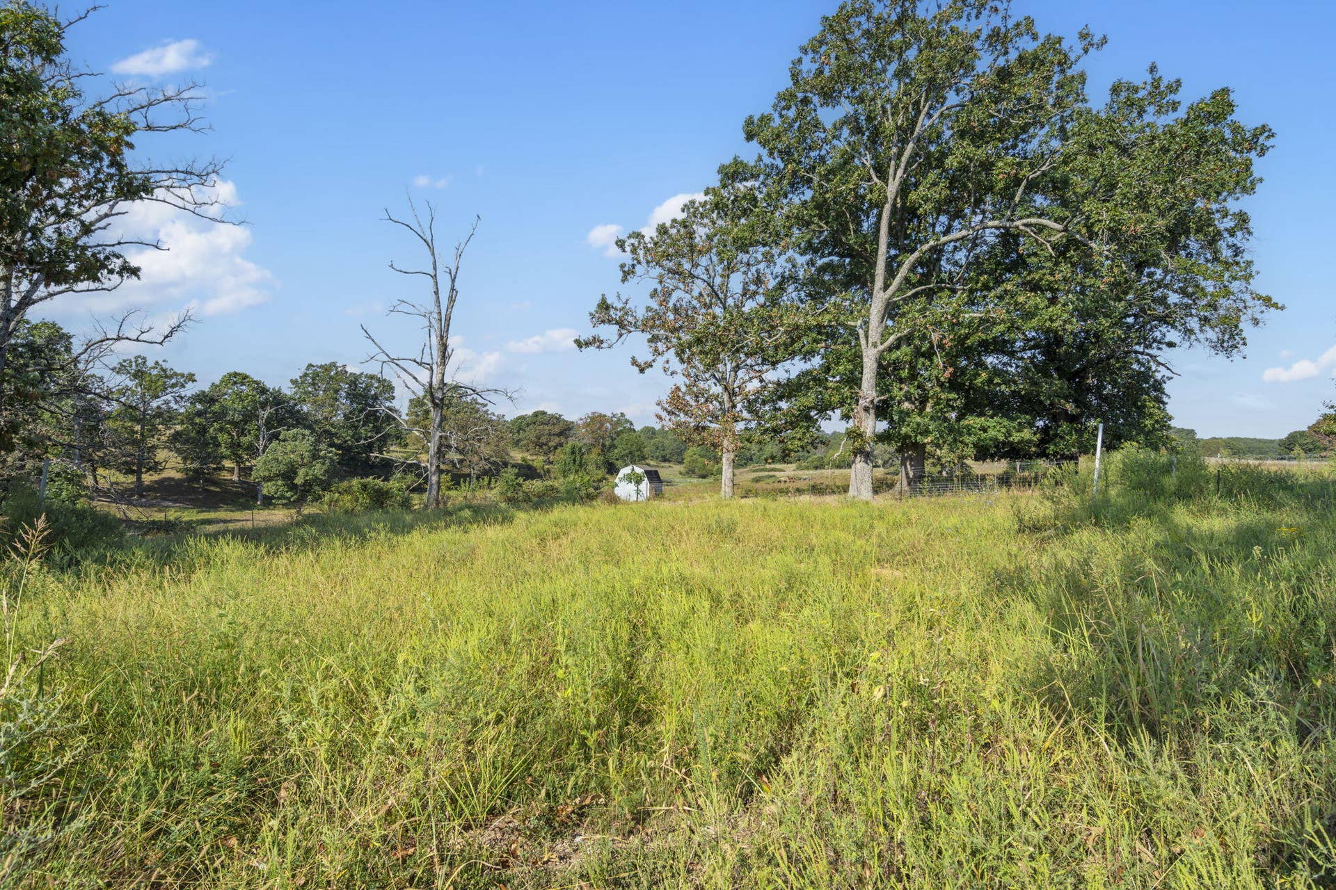 921 Us Hwy 160, Reeds Spring, MO 65737 921 US Hwy 160