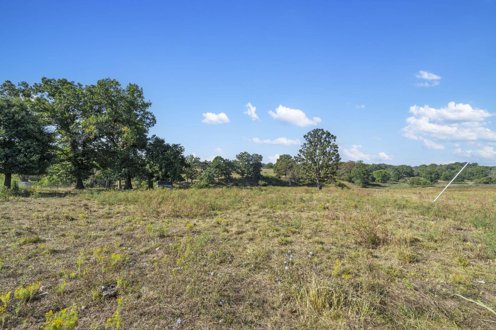 921 Us Hwy 160, Reeds Spring, MO 65737 921 US Hwy 160