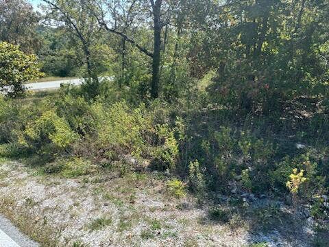 Lot 205