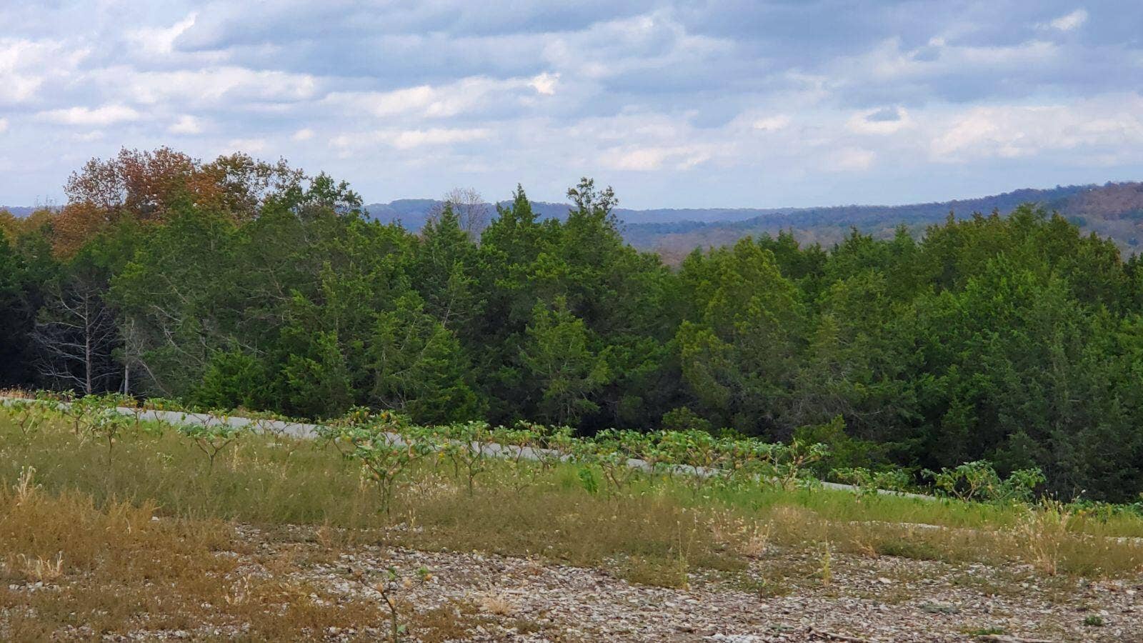Overlook Lot 235 -2