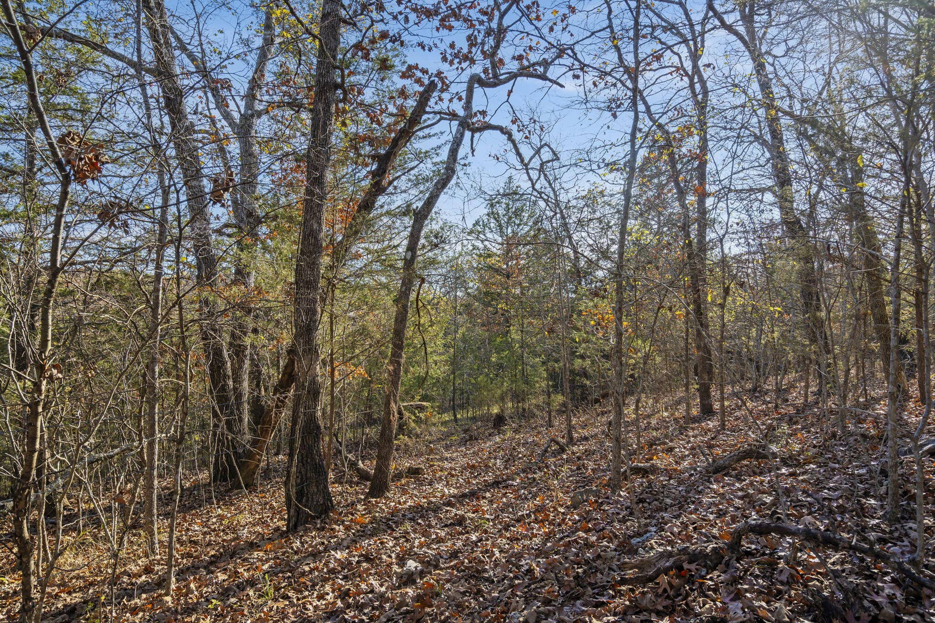 Double O 9 Road (22)