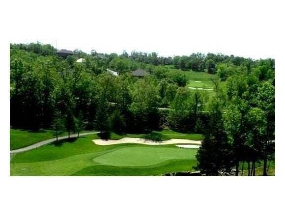 Nearby Golf Course Greens & Sand Trap