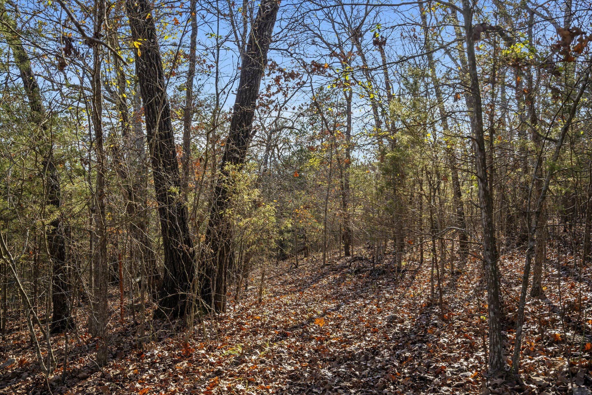 Double O 9 Road (20)