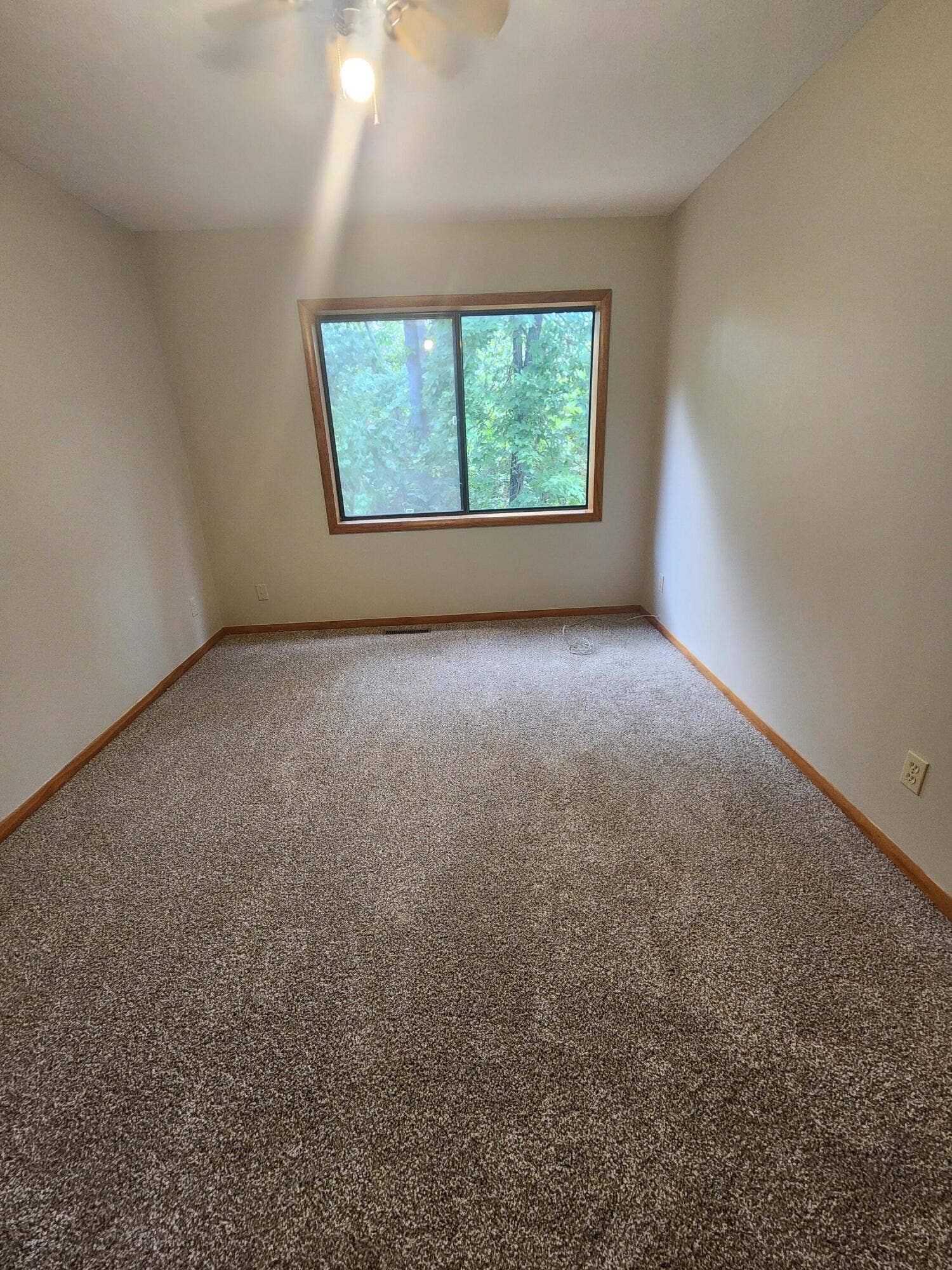 610 Double O Nine Road, Reeds Spring, MO 65737 20250806_115624