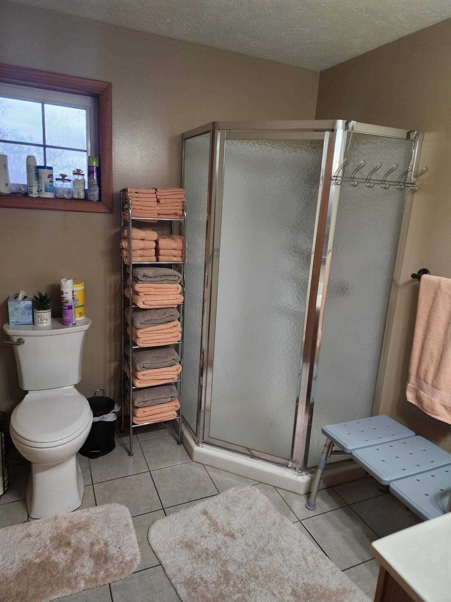 610 Double O Nine Road, Reeds Spring, MO 65737 FULL BATH LOWER