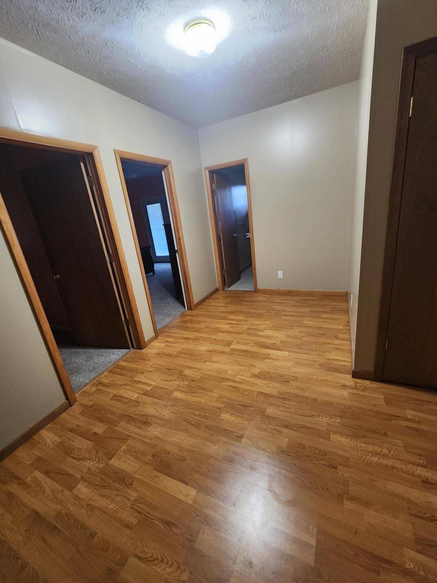 610 Double O Nine Road, Reeds Spring, MO 65737 LOWER AREA