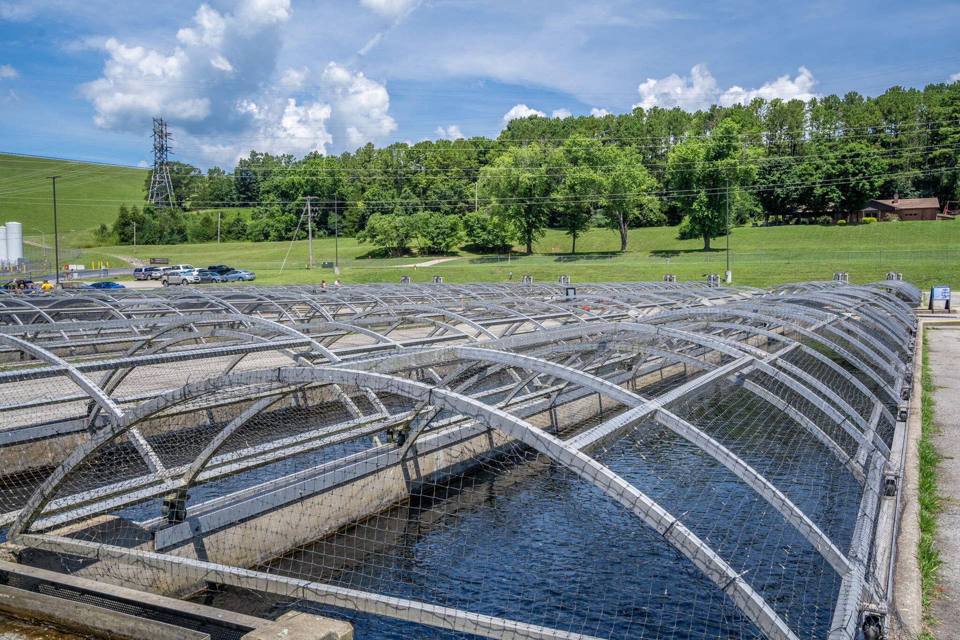STATE PARK MARINA AND FISH HATCHERY  (5)
