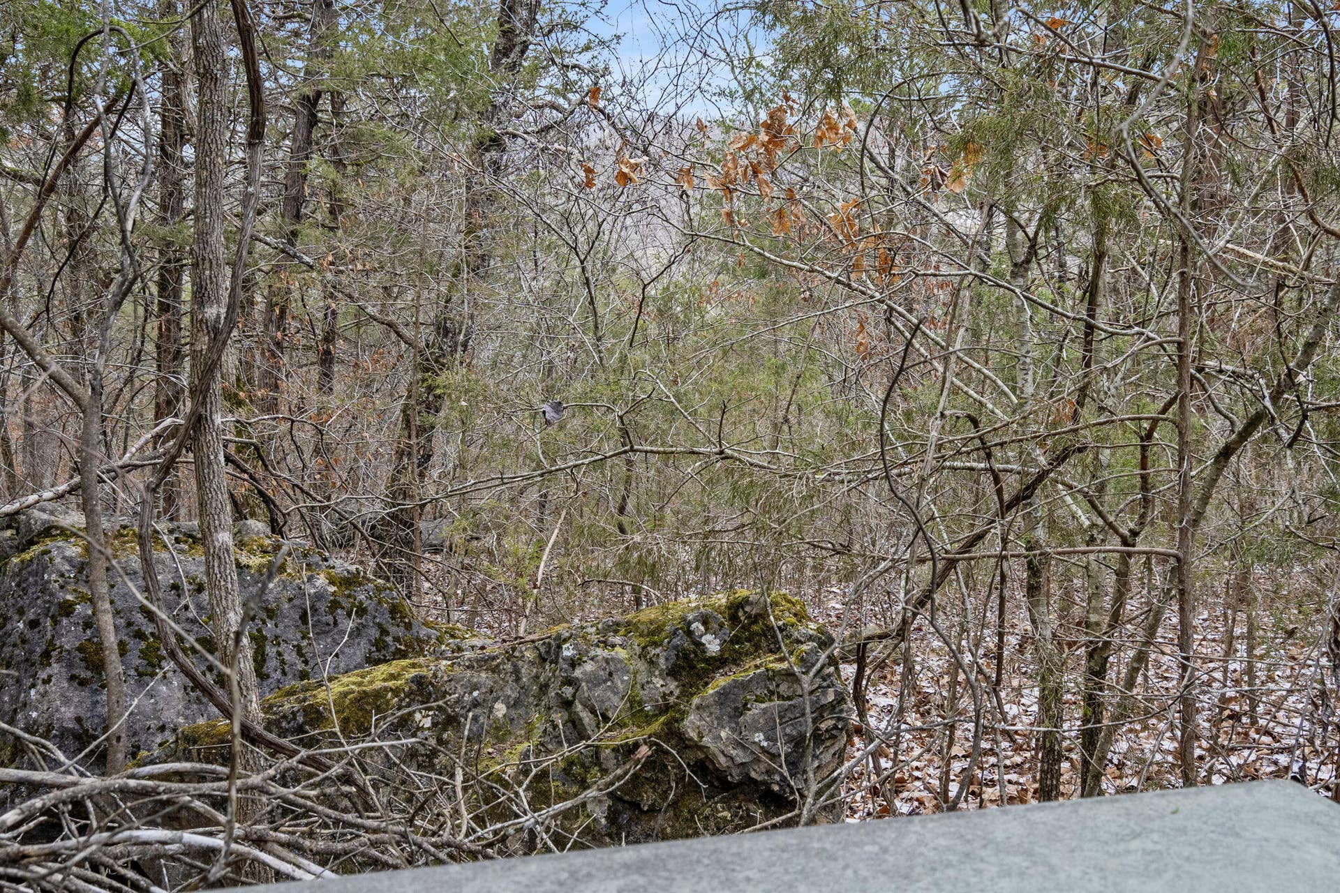 Lot 9 Ledges Way (5)