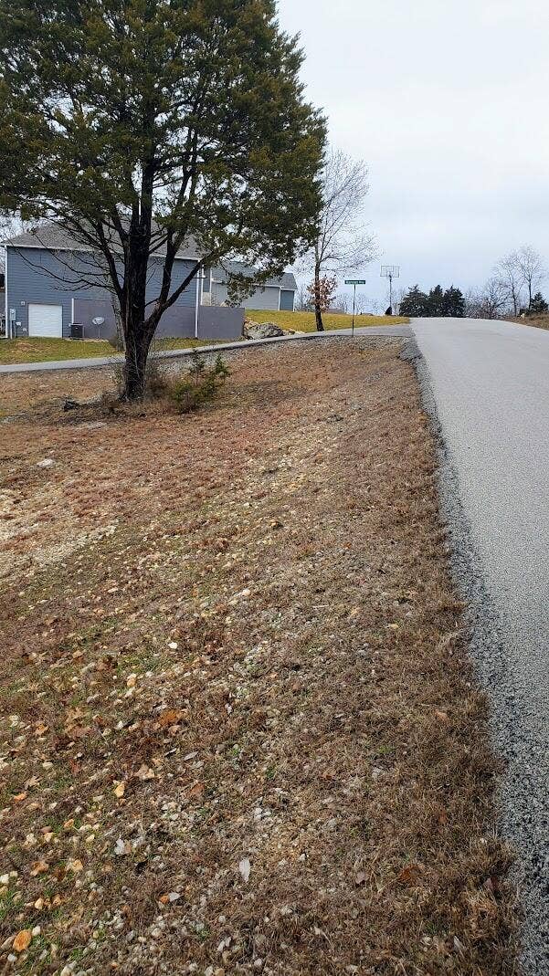 Overlook Lot 177 Road View