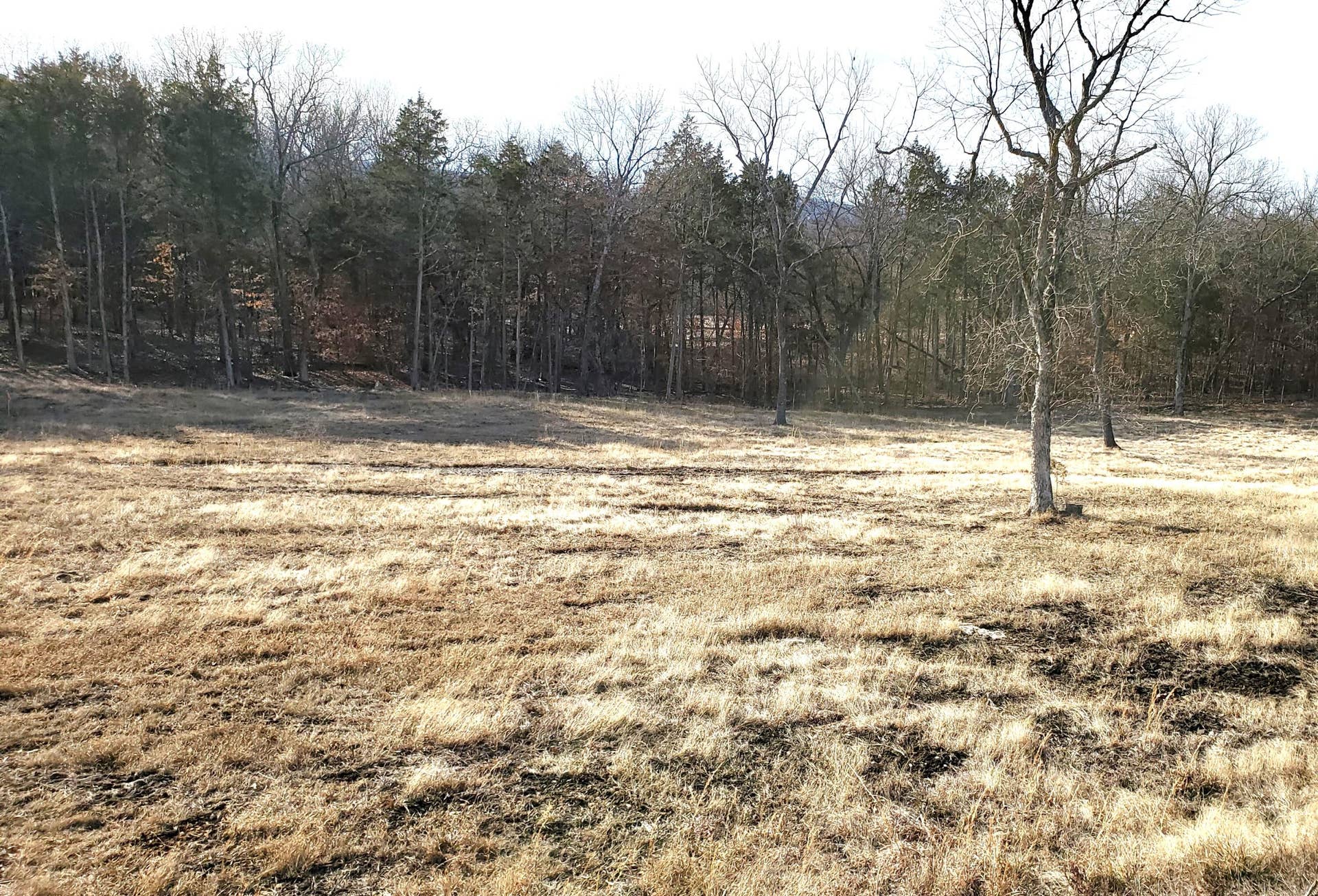 Overlook Lot 179