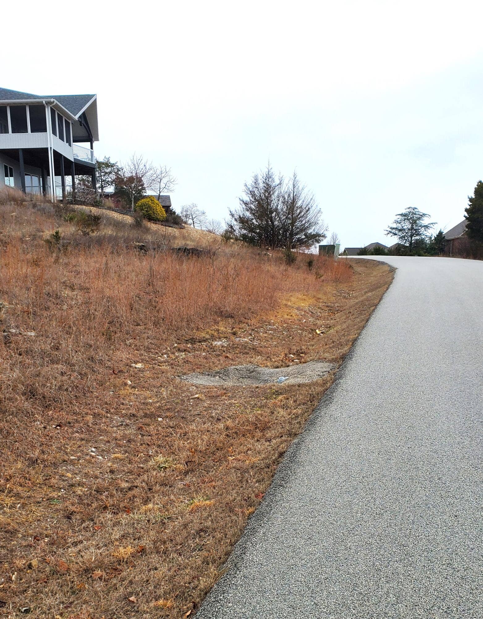 000 Lot 252 Silver Sunset Lane, Kimberling City, MO 65686 Overlook Lot 252 Street View (2)