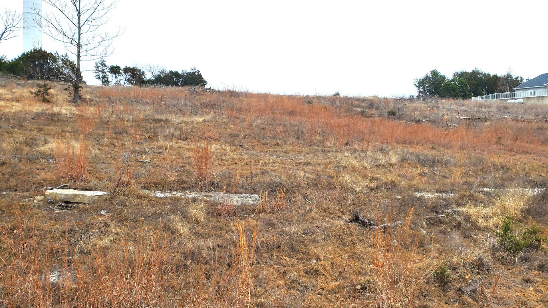 Overlook Lot 253 (2)